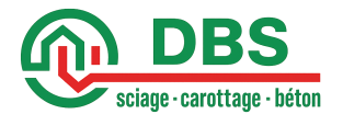 logo dbs